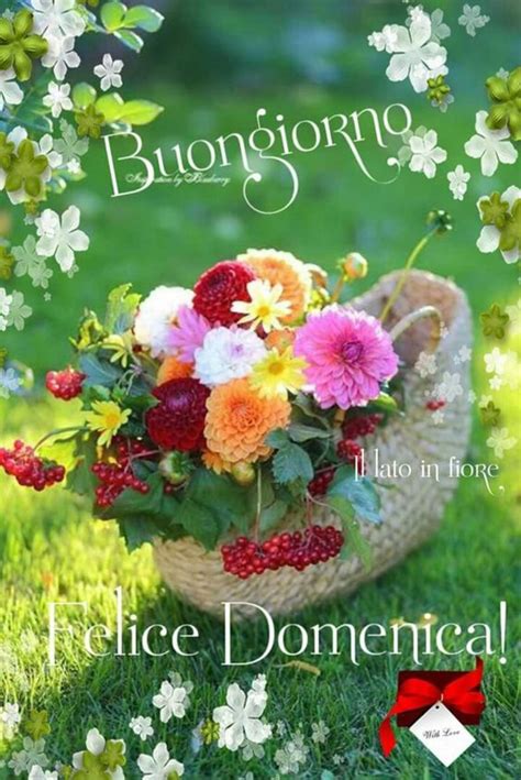 buona domenica buongiorno immagini|buona domenica immagini nuove.